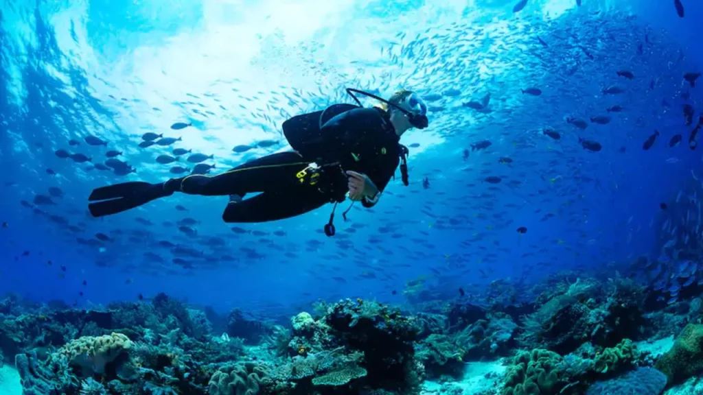 Diving in Phi Phi