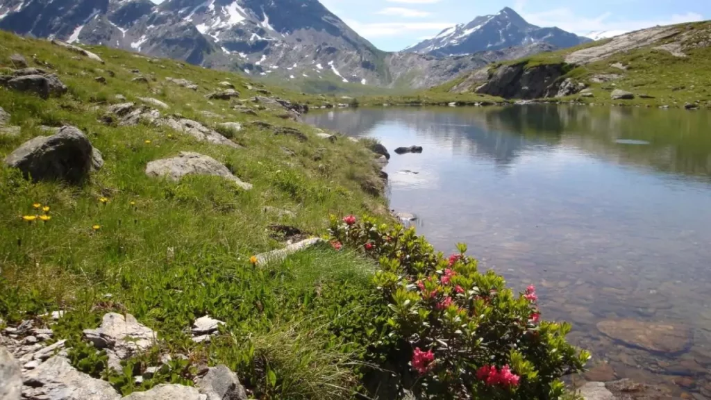 Lac Verdet and Longet